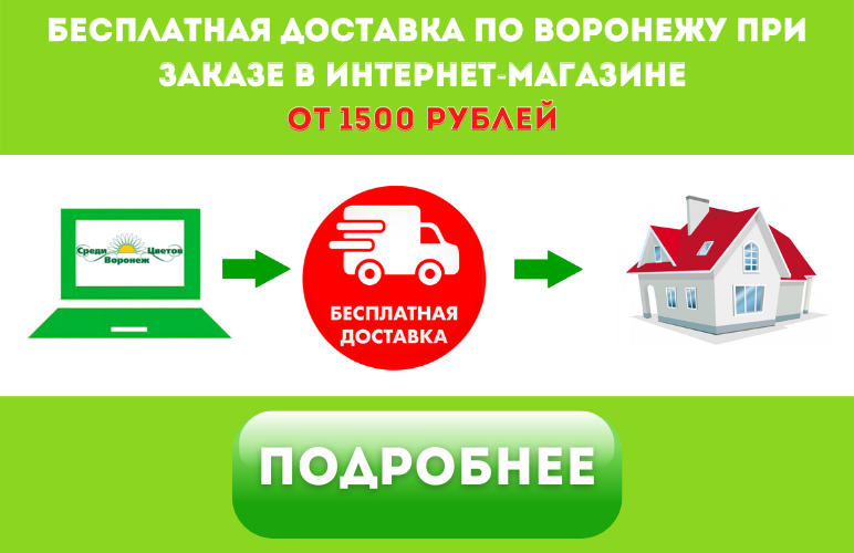 Бесплатная доставка